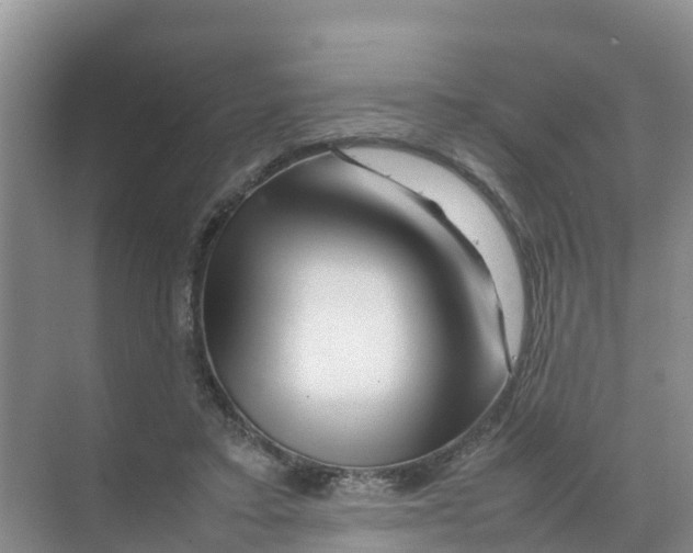 X0000070190403200606232018