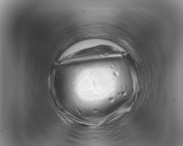 X0000070190405200606232018