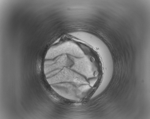 X0000070190406200606232018