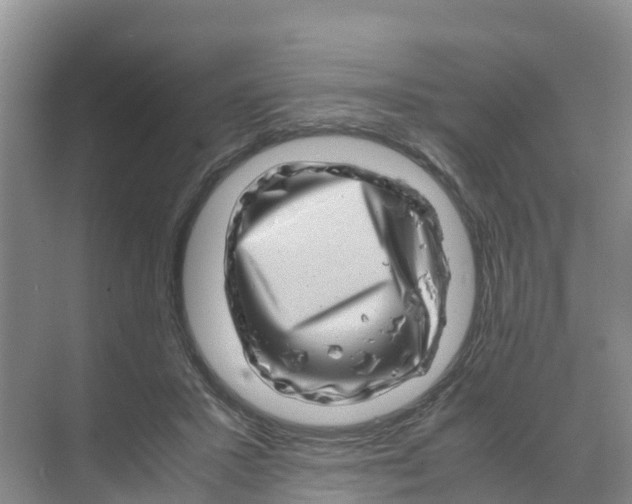 X0000070190407200606232018