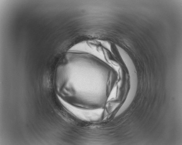 X0000070190408200606232018