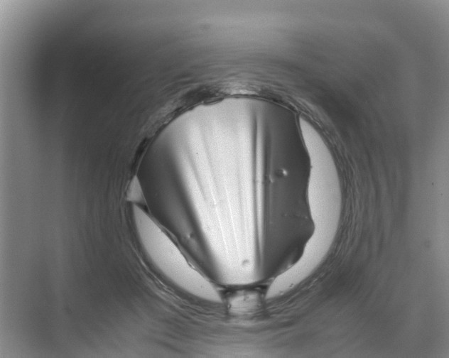 X0000070190409200606232018