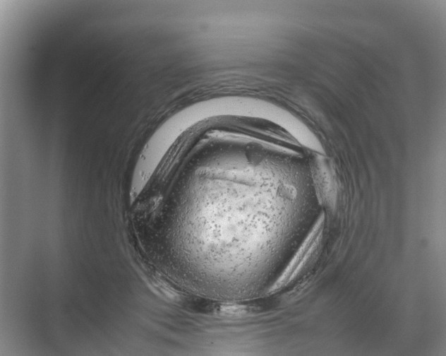 X0000070190413200606232018