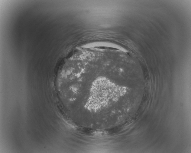 X0000070190415200606232018