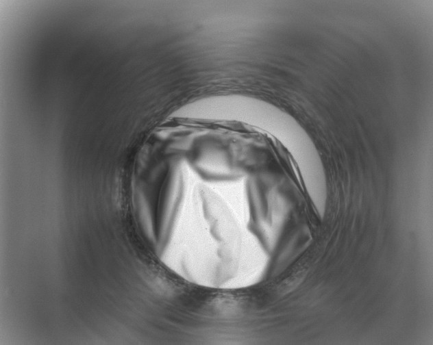 X0000070190416200606232018