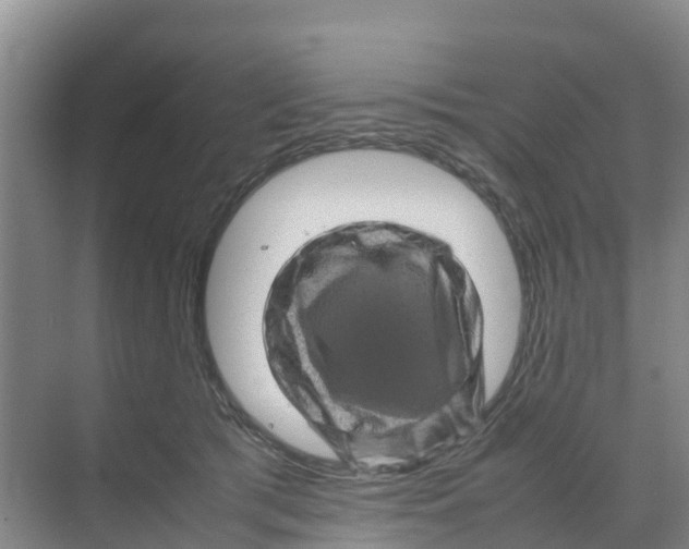 X0000070190417200606232018