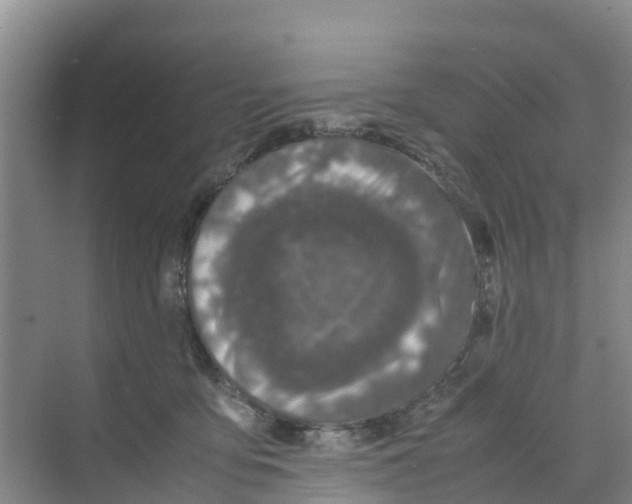 X0000070190419200606232018