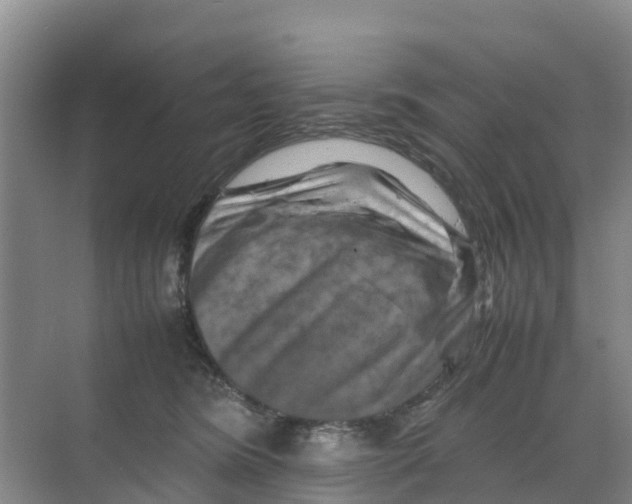 X0000070190420200606232018