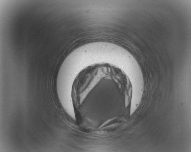 X0000070190421200606232018