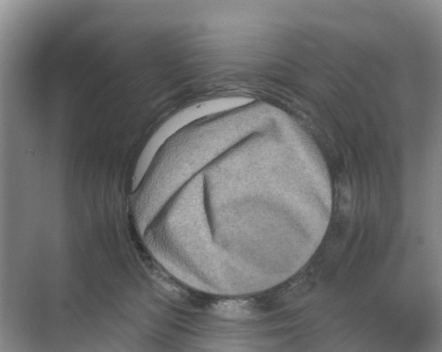 X0000070190422200606232018