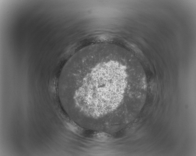 X0000070190423200606232017