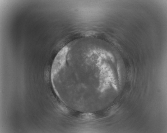 X0000070190427200606232017