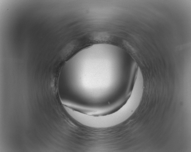 X0000070190428200606232017