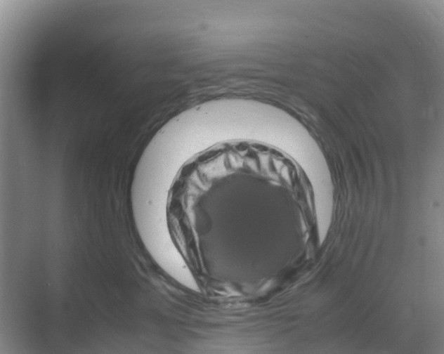 X0000070190429200606232017