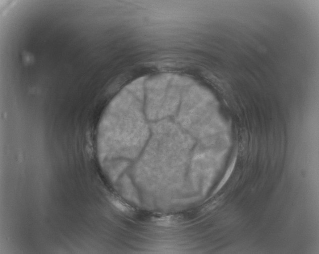 X0000070190430200606232017