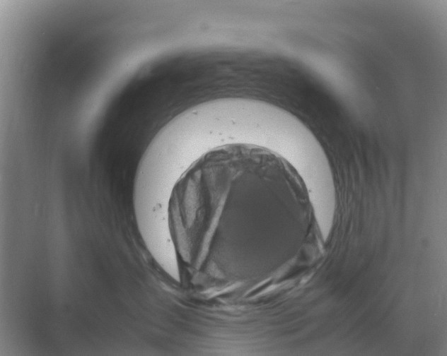 X0000070190431200606232017