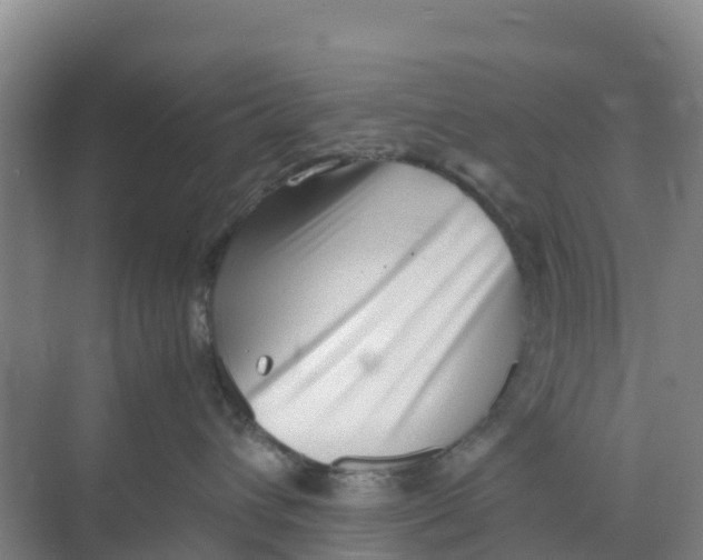 X0000070190432200606232017