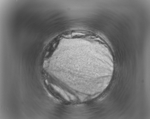 X0000070190433200606232017