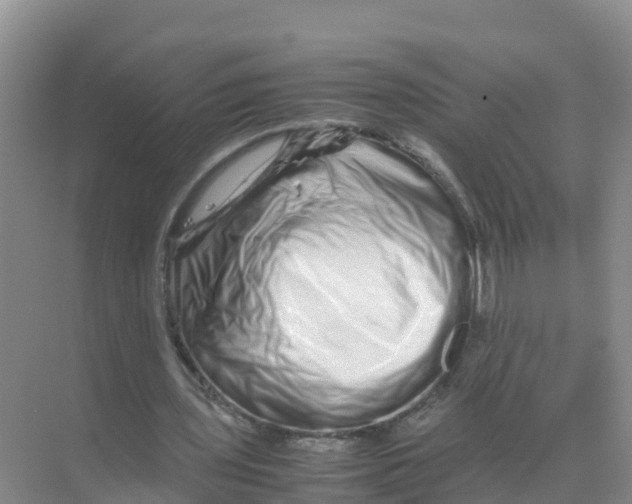 X0000070190435200606232017