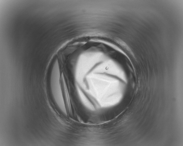 X0000070190436200606232017