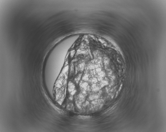 X0000070190437200606232017