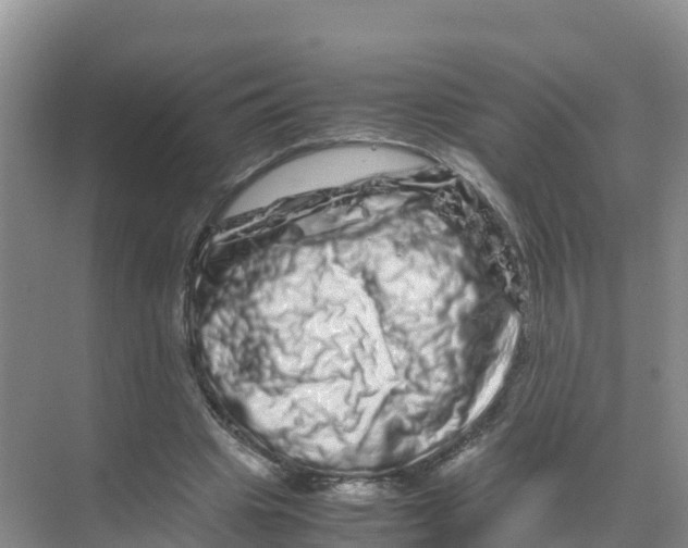 X0000070190441200606232017