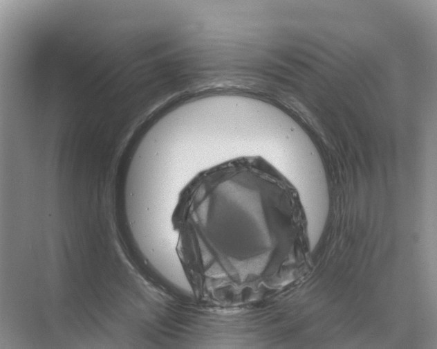 X0000070190444200606232017