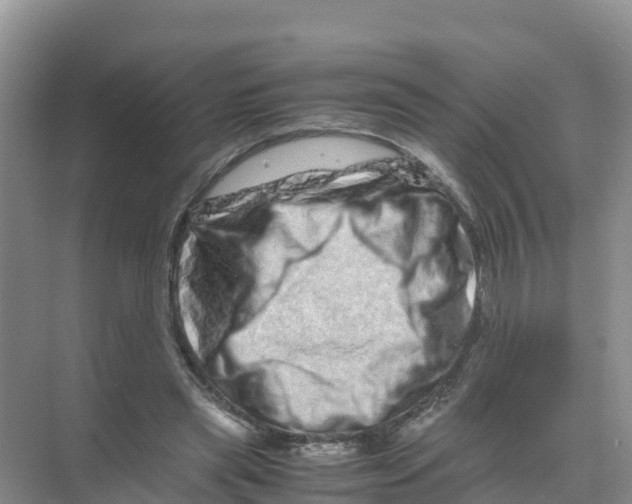 X0000070190445200606232017