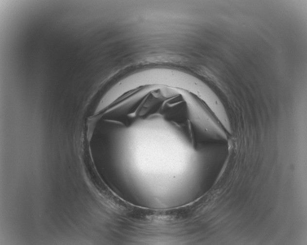 X0000070190448200606232017