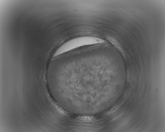 X0000070190449200606232017