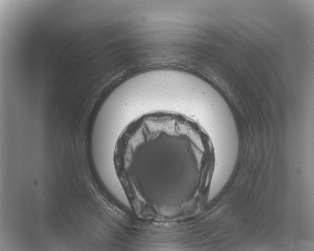 X0000070190450200606232017