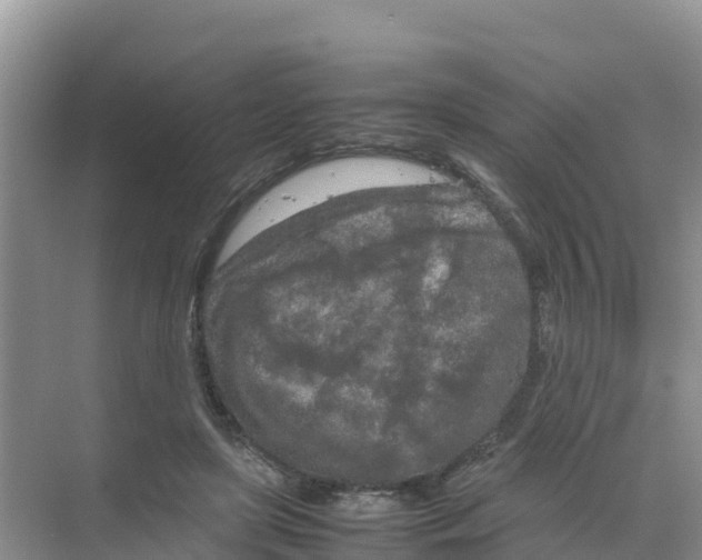 X0000070190451200606232017