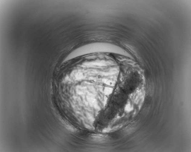 X0000070190453200606232017