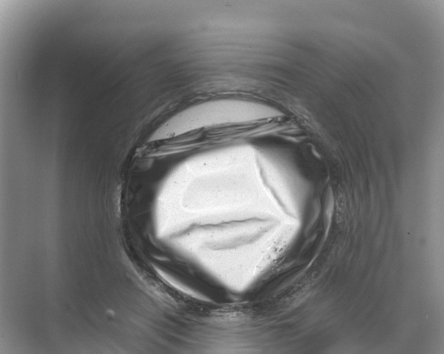 X0000070190454200606232017