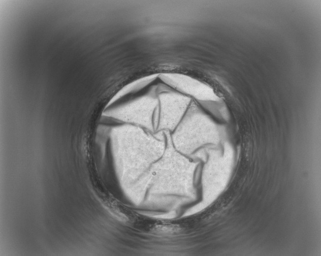 X0000070190455200606232017