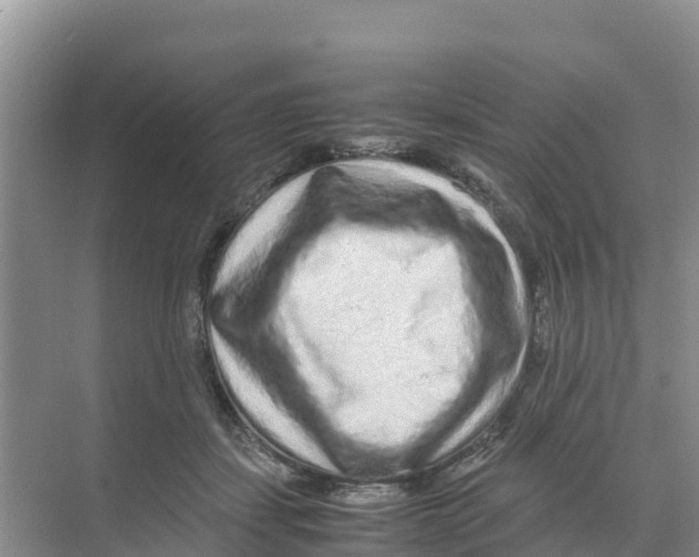 X0000070190459200606232017