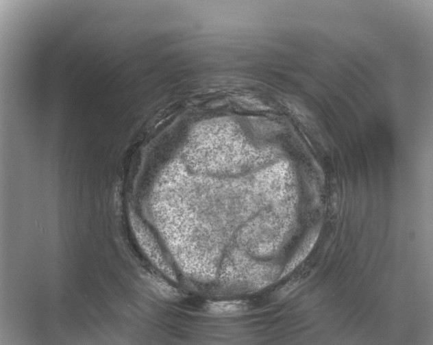 X0000070190461200606232017