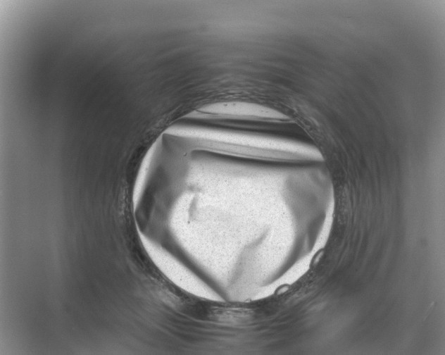 X0000070190463200606232017