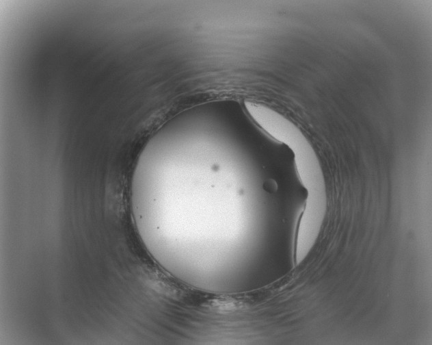 X0000070190464200606232017