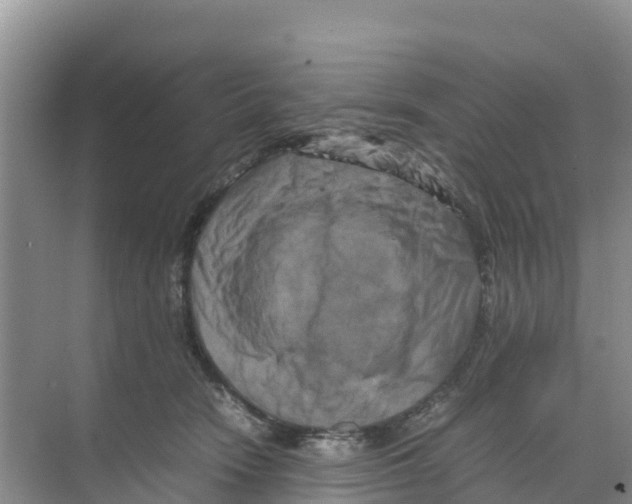 X0000070190466200606232017