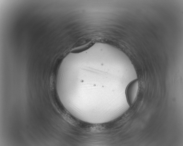 X0000070190468200606232017