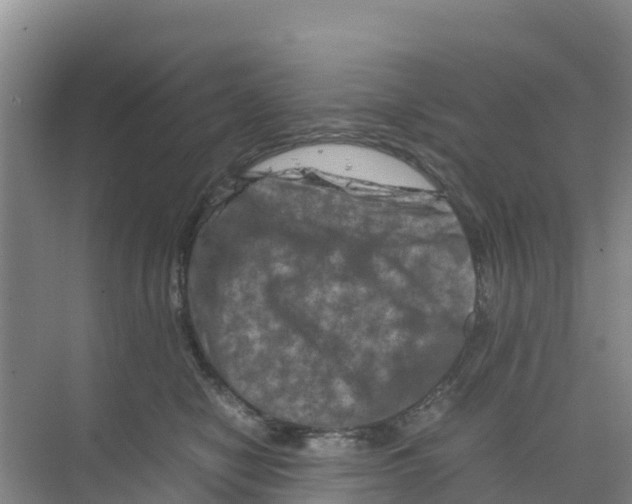 X0000070190470200606232017