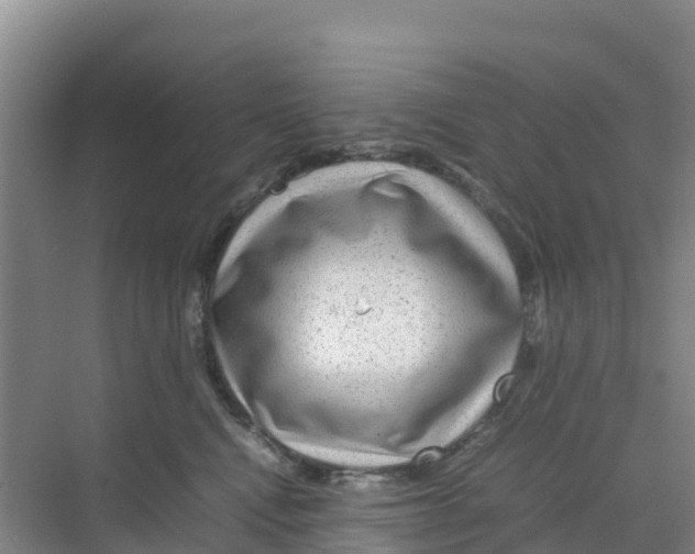 X0000070190472200606232017