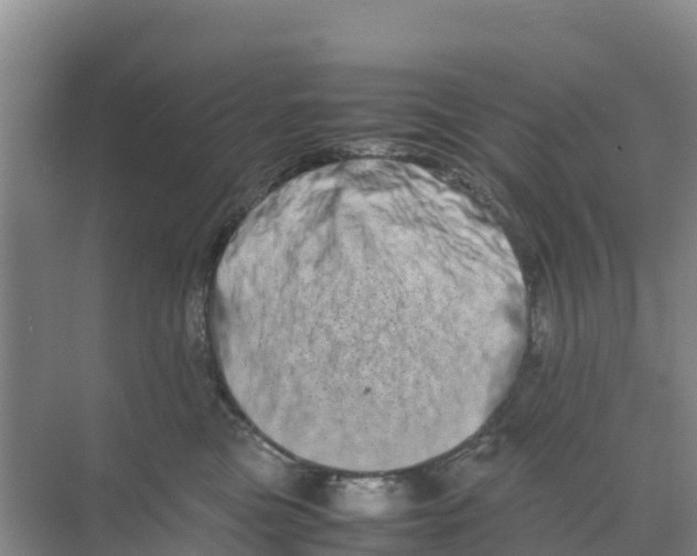 X0000070190473200606232017