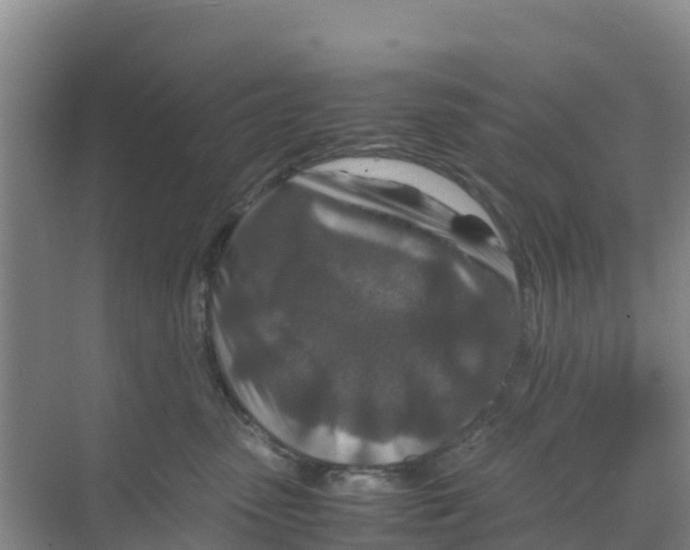 X0000070190475200606232017