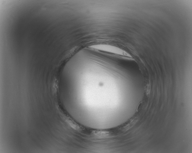 X0000070190476200606232017