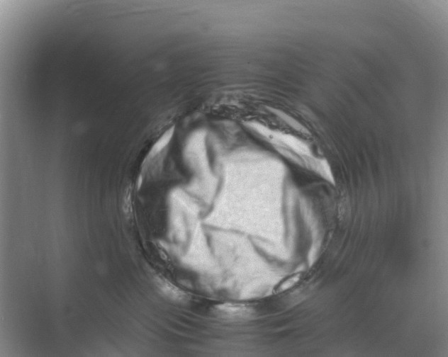 X0000070190477200606232017