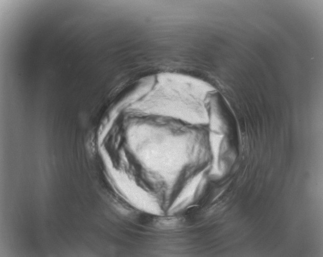 X0000070190479200606232017