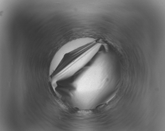 X0000070190480200606232017