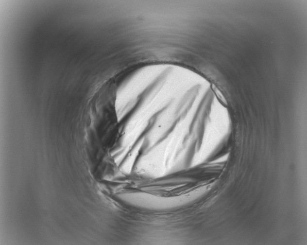 X0000070190481200606232017